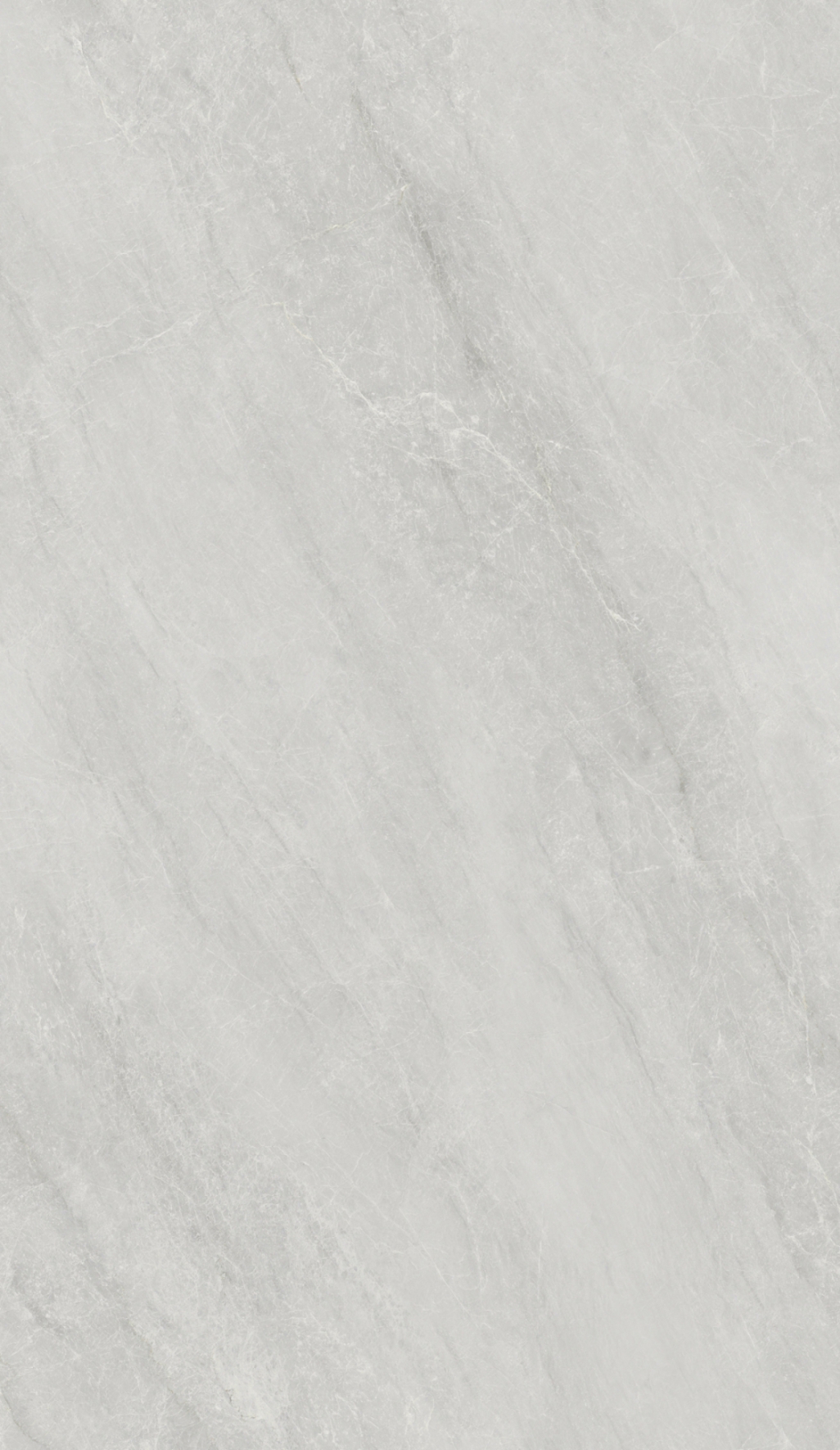 DTC81319AL 土耳其灰